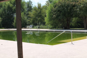 With the water and electricity cut off to the Princeton Meadows community pool, water turned a bright green which caused it to be closed by the city as a health hazard.