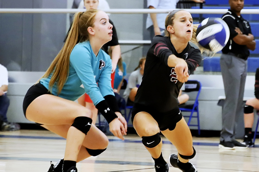 Lady Panthers earn split