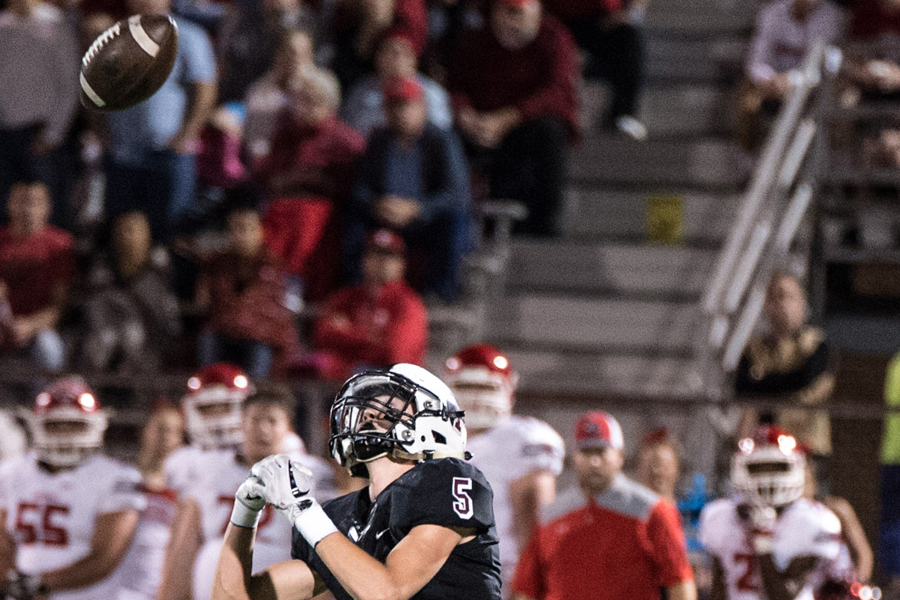 Not again: Vandals eliminate Panthers during bi-district round