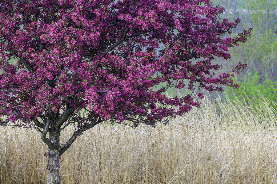 Spring planting time is near