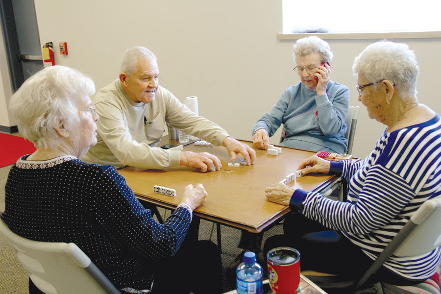 Senior citizens stay sharp with activities