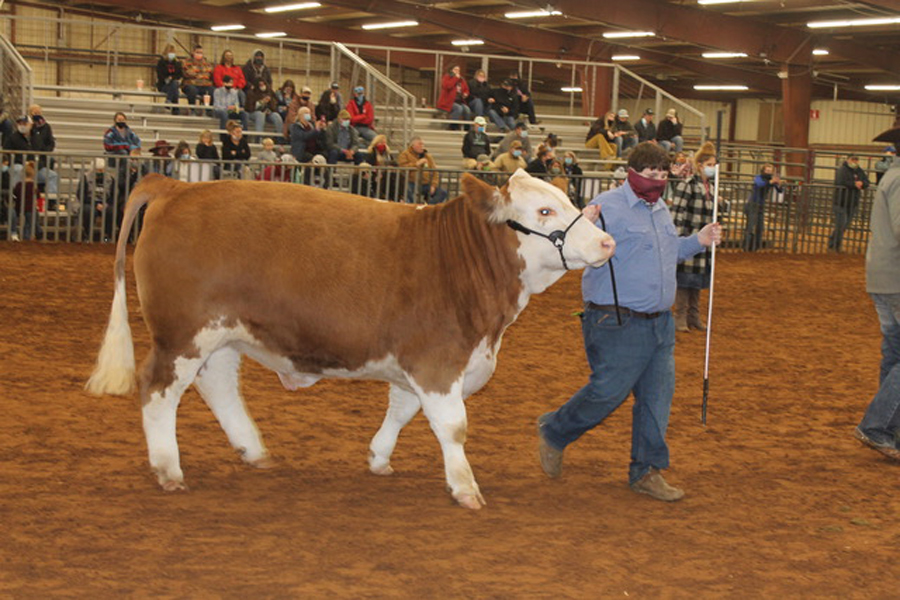 Princeton showmen claim numerous awards