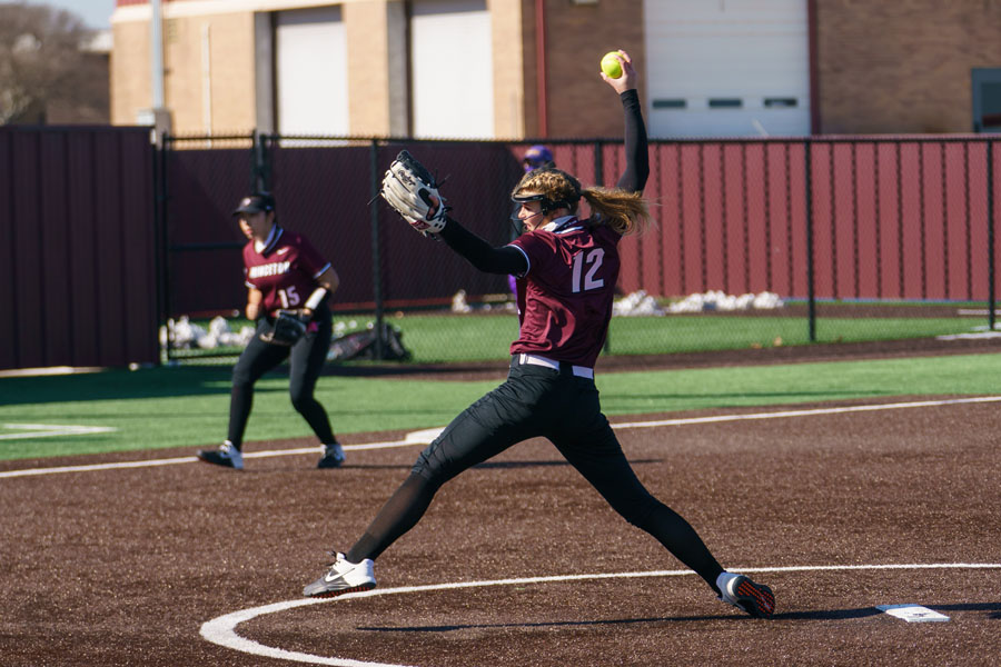Lady Panthers softball earns all-district honors