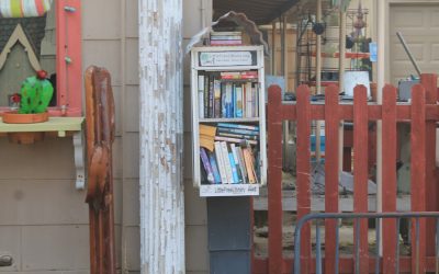 Area Little Free Libraries promote reading