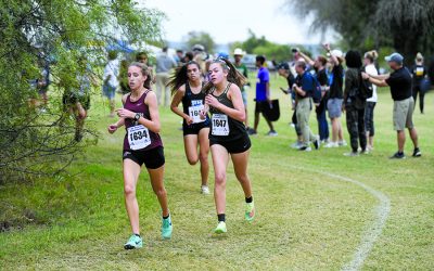 Leverton qualifies for state cross-country meet