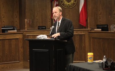 Residents appointed to home rule commission