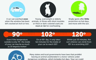 Local officials urge heat awareness this summer