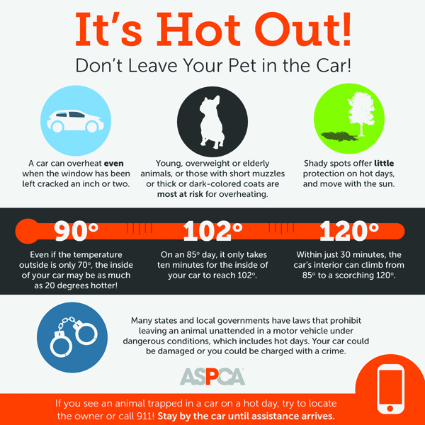 hot-cars_infographic-digital-1