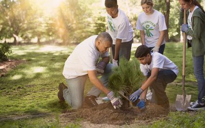 Forests to Faucets is Nov. 4