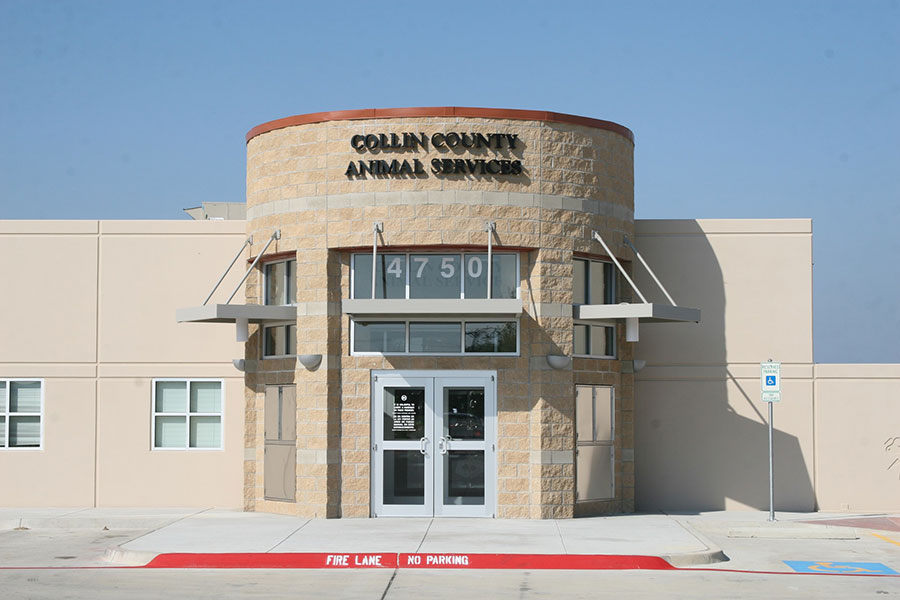 Collin County shelter reduces stray animal hold time