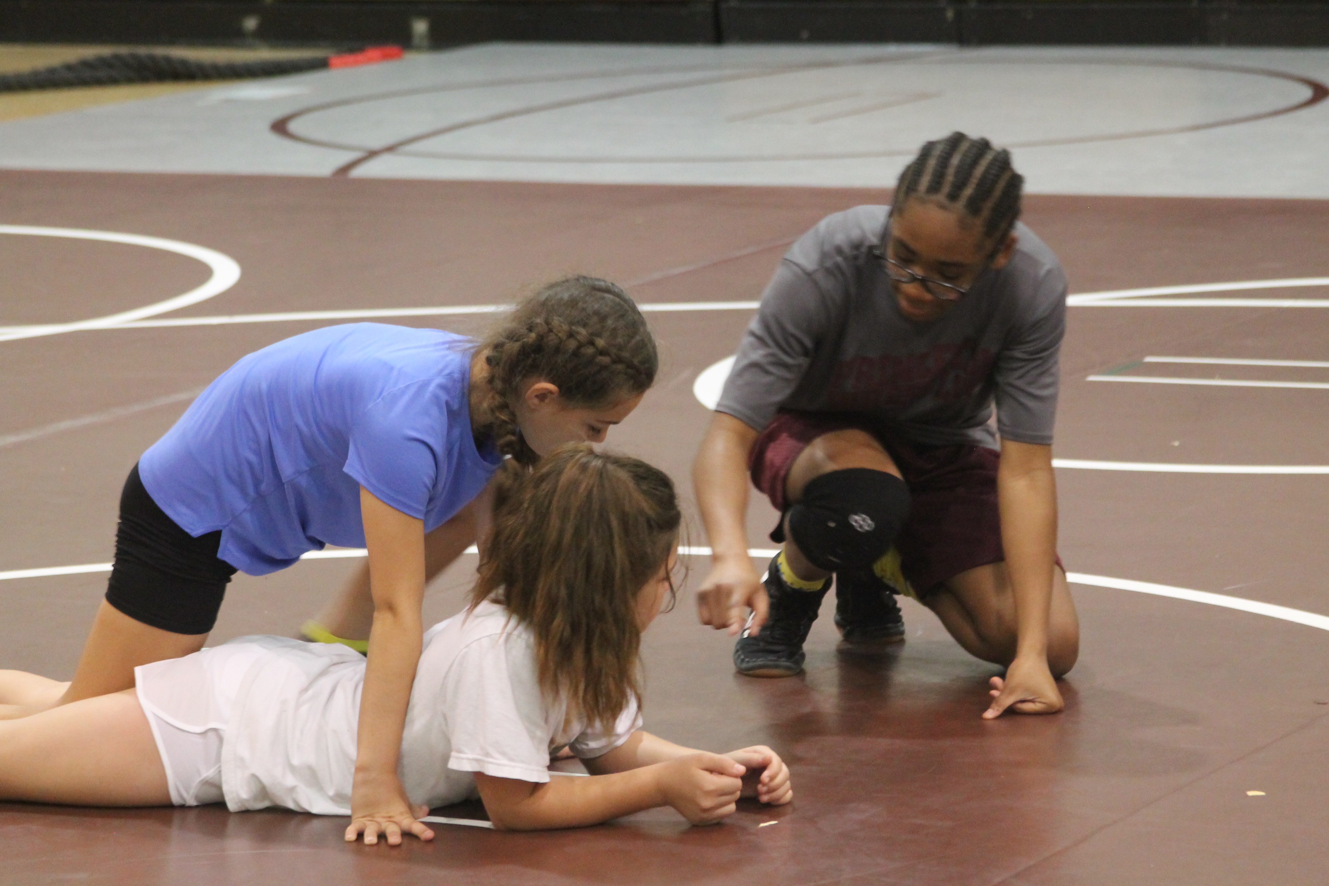Campers learn softball skills, wrestling moves at Princeton HS