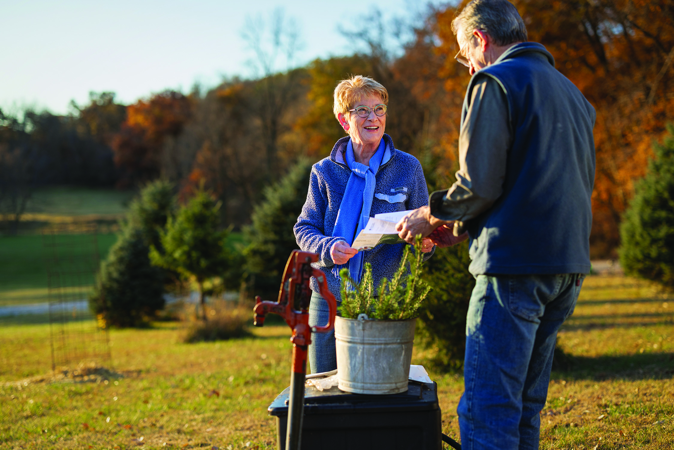 Fall tree planting